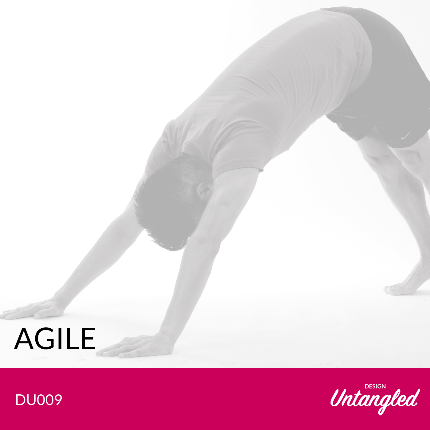 DU009 – Agile