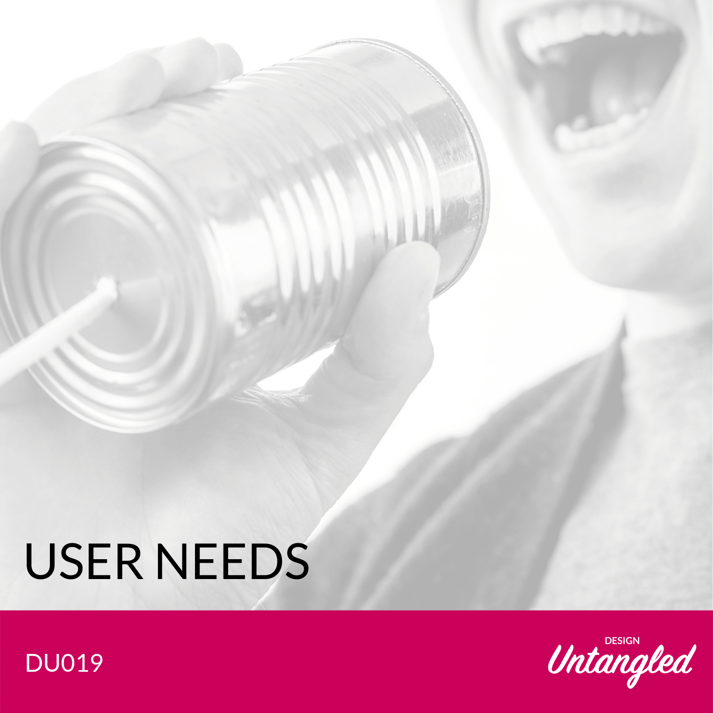 DU019 – User Needs